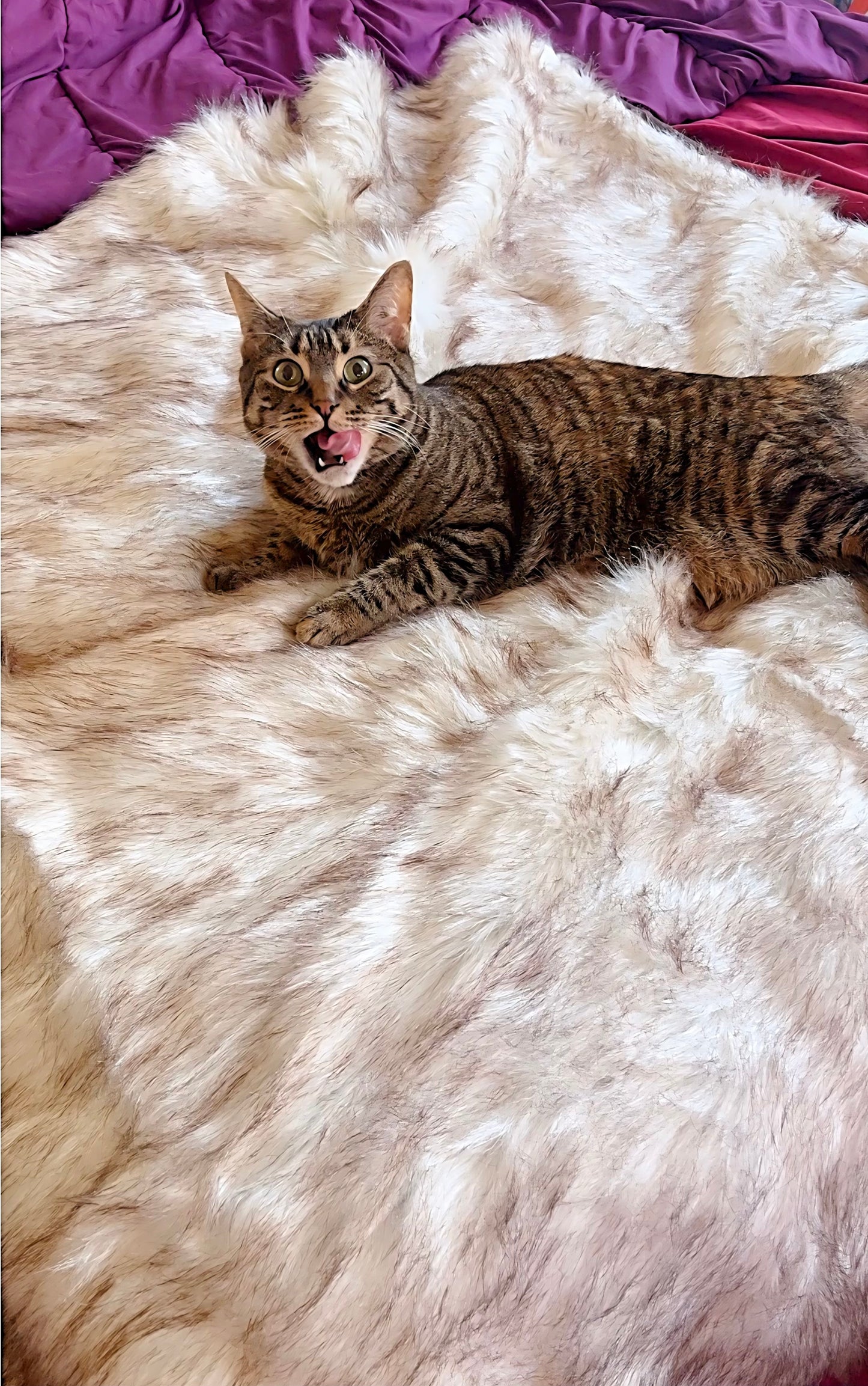 FuroraLuxe© Waterproof Luxury Pet Blanket