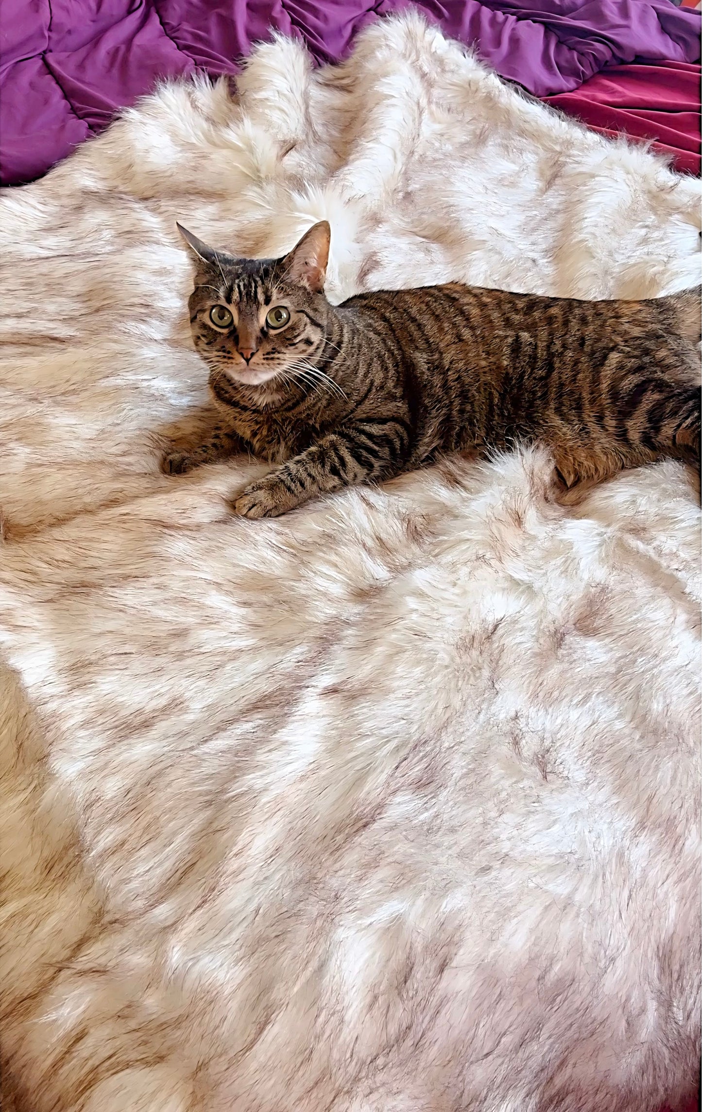 FuroraLuxe© Waterproof Luxury Pet Blanket